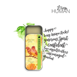 Now & Zen - The Yoga Collection