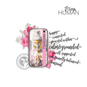 Passionista - The Love & Libido Collection for Her