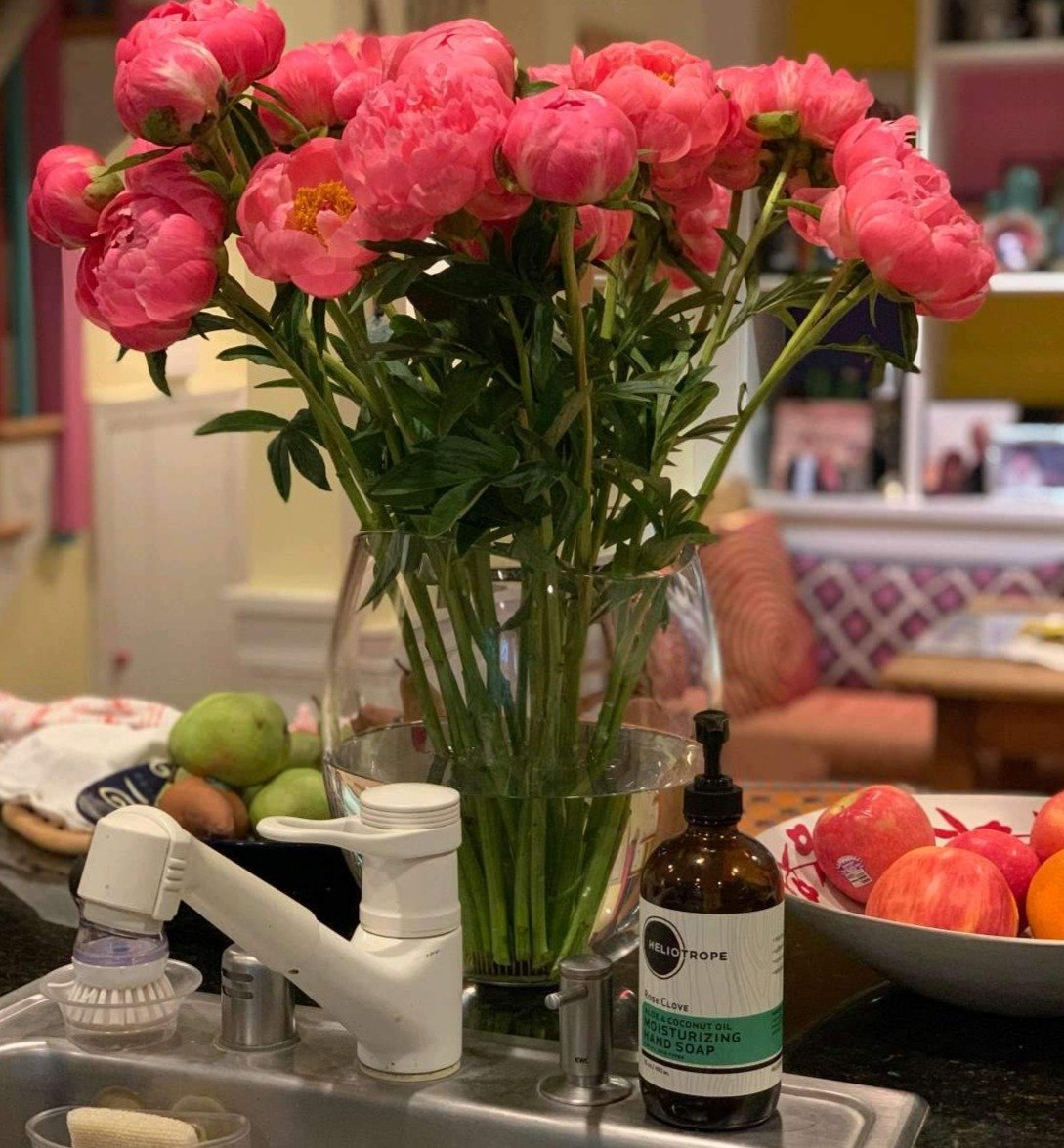 Aloe &amp; Coconut Oil Moisturizing Liquid Hand Soap