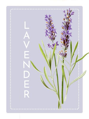 Lavender Dusting Powder