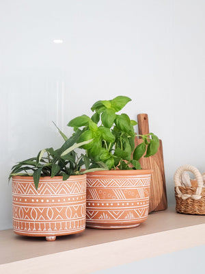Metanoia Wellness - Hand-Etched Small Terracotta Pot