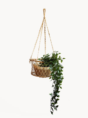 Metanoia Wellness - Jhuri Single Hanging Planter Basket with Plant