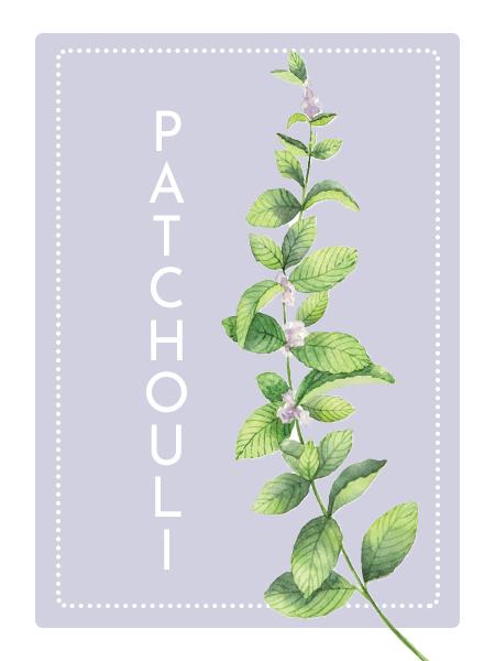 Patchouli Perfume Oil