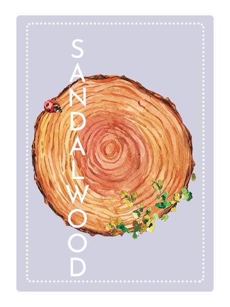 Sandalwood Perfume Oil